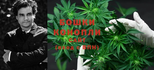 дурь Белокуриха