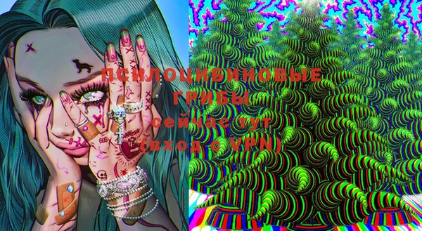 дурь Белокуриха