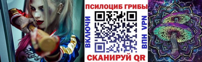 blacksprut ссылки  Дудинка  Псилоцибиновые грибы мицелий 